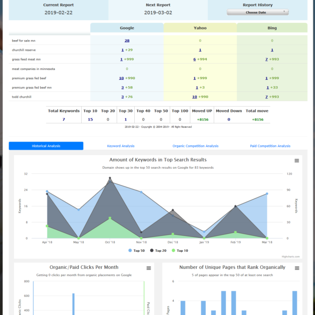 livereportingdashboard2